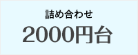 詰め合わせ 2000円台