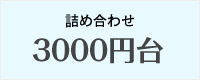 詰め合わせ 3000円台